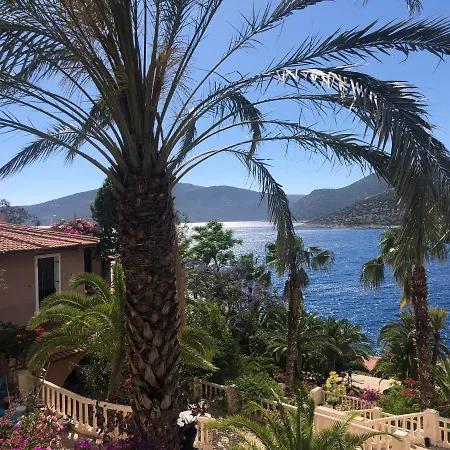 Villa Palm House-club Patara Evleri,kas-kalkan Kalkan